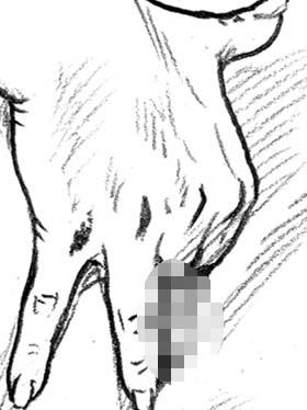 pussy masturbation with fingers